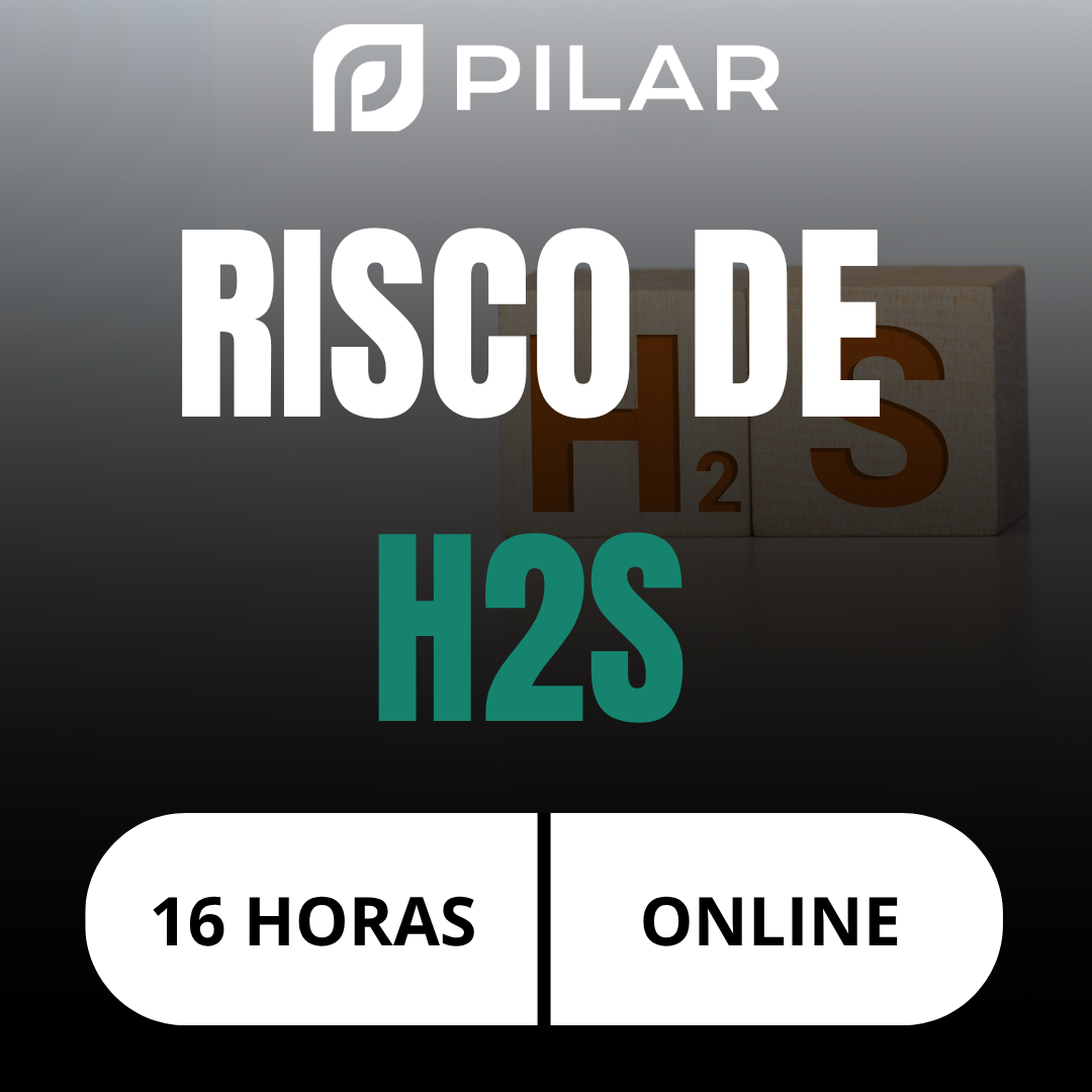  RISCOS DE H2S