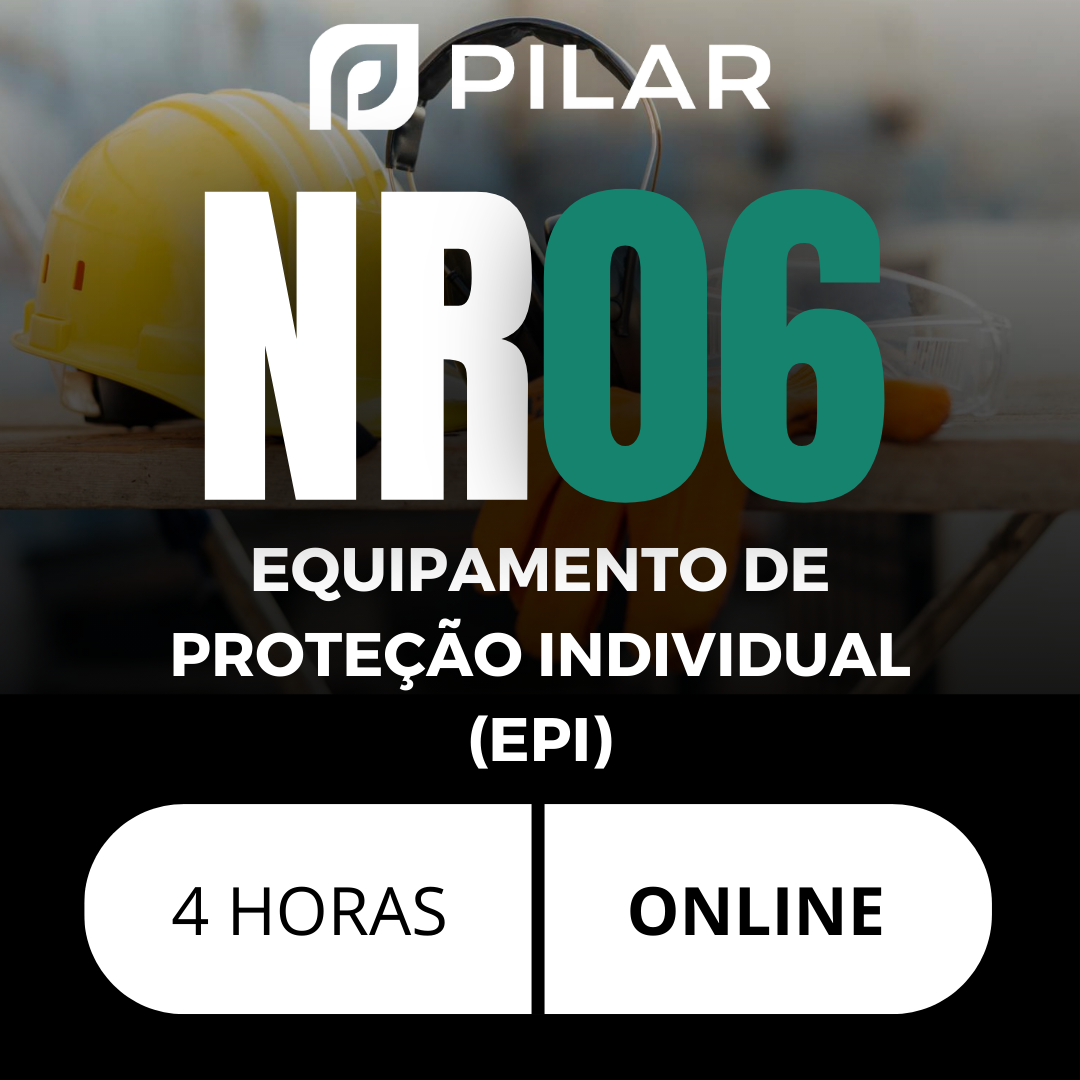 NR 06 - EQUIPAMENTO DE PROTEÇÃO INDIVIDUAL - EPI - ONLINE 