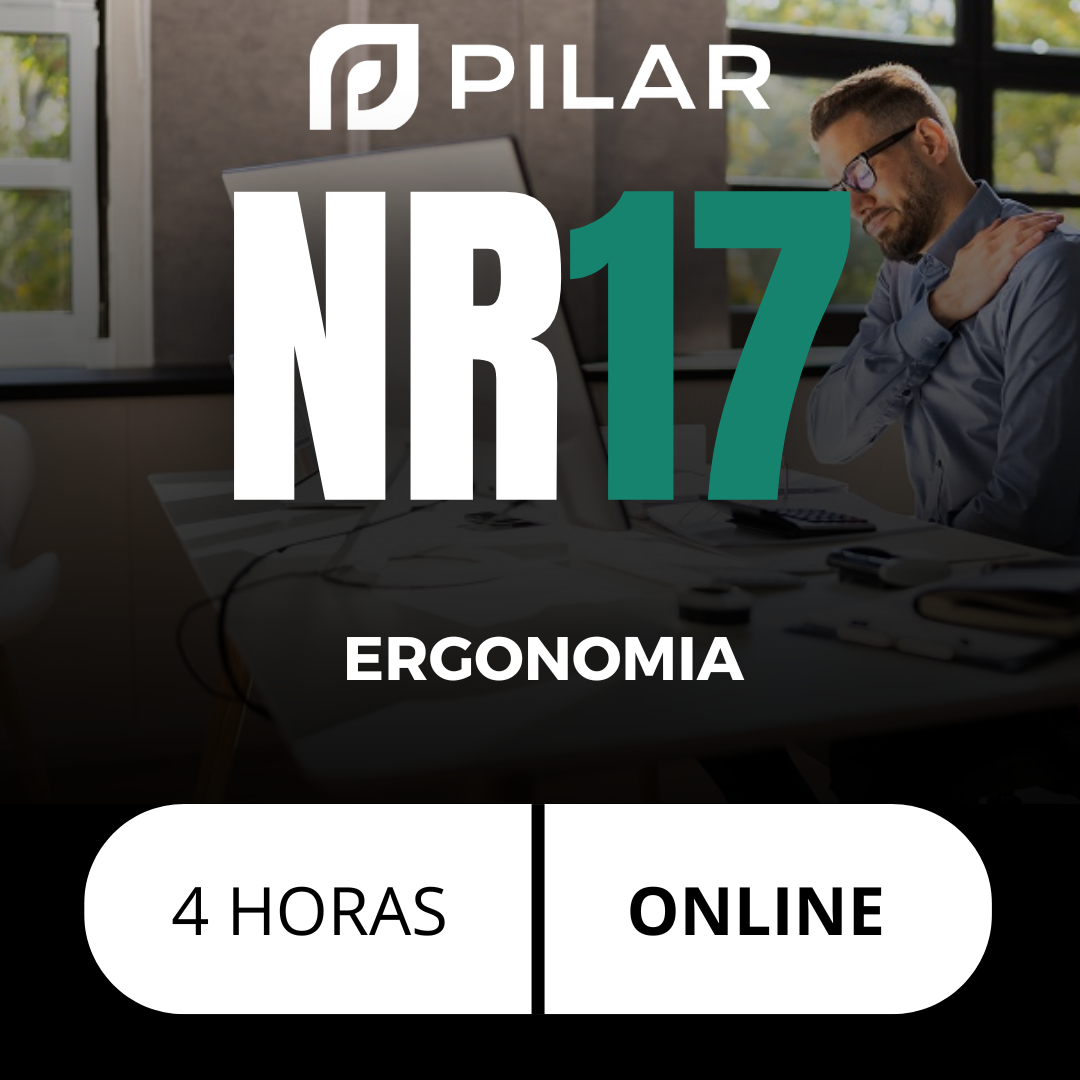 NR 17 - ERGONOMIA