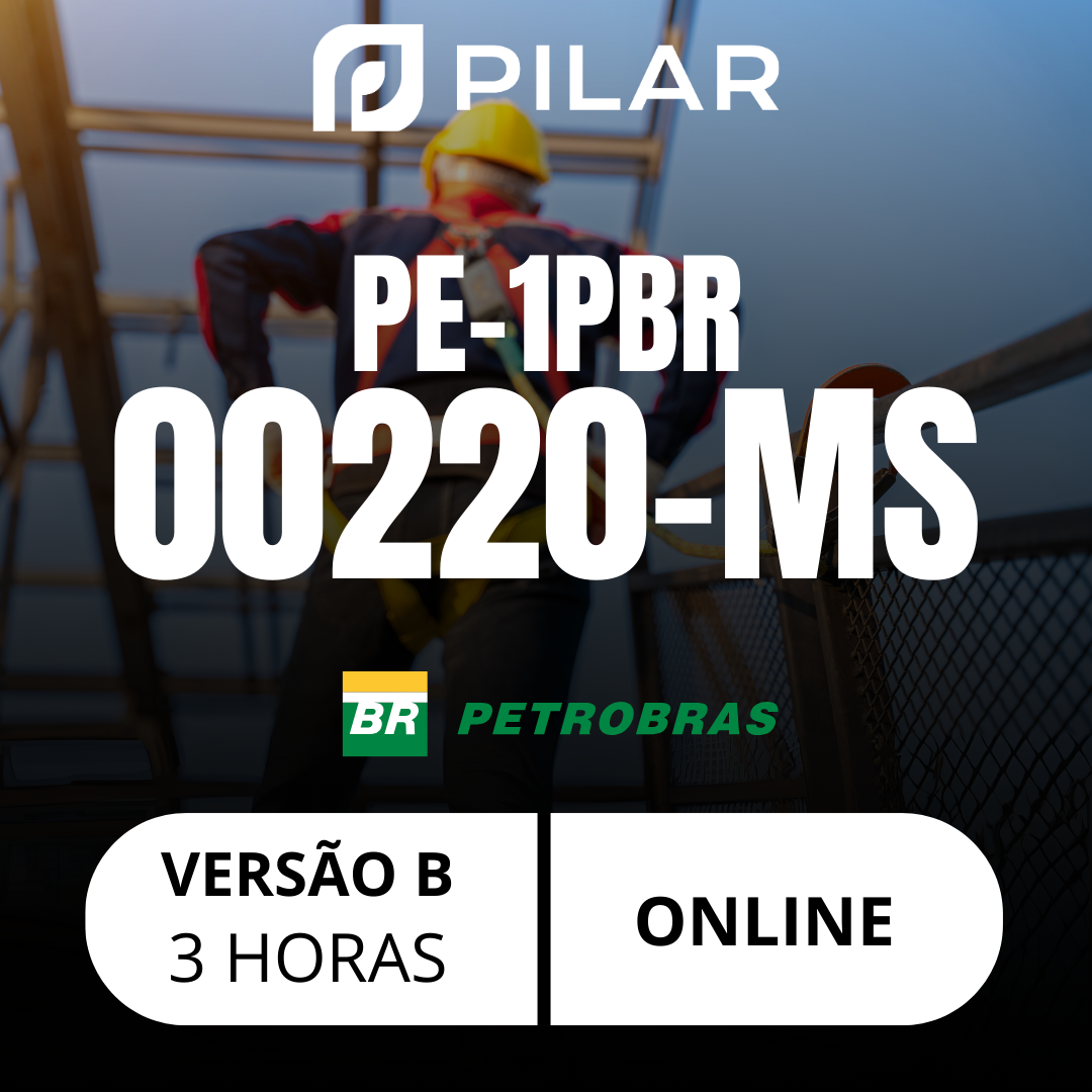 PE-1PBR-00220 - MS - TRABALHOS EM ALTURA - ANDAIMES - VERSÃO B