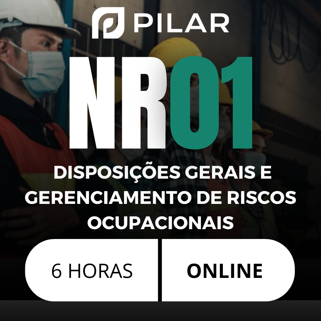 NR 01 - DISPOSIÇÕES GERAIS E GERENCIAMENTO DE RISCOS OCUPACIONAIS