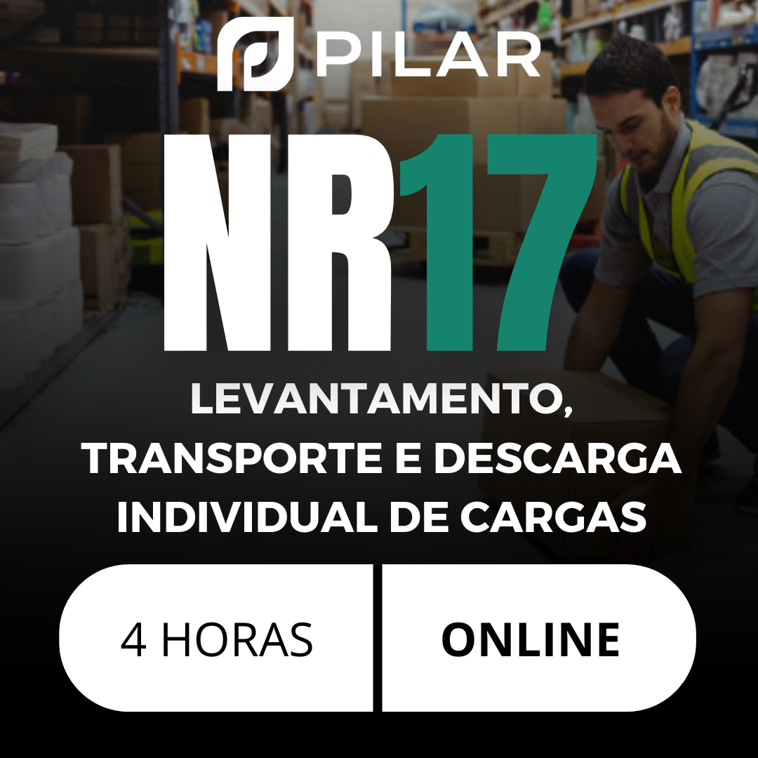  NR 17 - LEVANTAMENTO, TRANSPORTE E DESCARGA INDIVIDUAL DE CARGAS- 4 HORAS