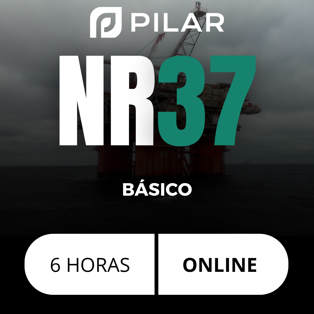 NR 37 - BÁSICO - ONLINE -  06H 