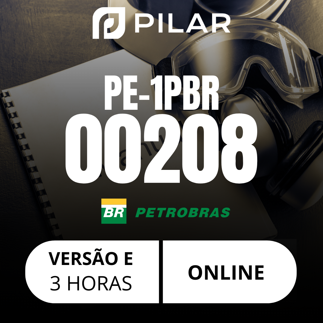  PE-1PBR-00208-E - MS MANUAL DE SEGURANÇA - Versão E